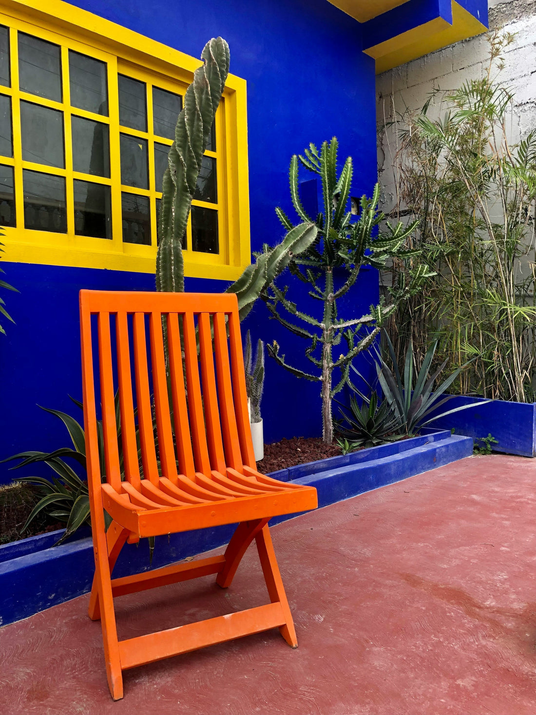 Embrace Bold Colors